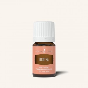 Ocotea 奧寇梯木